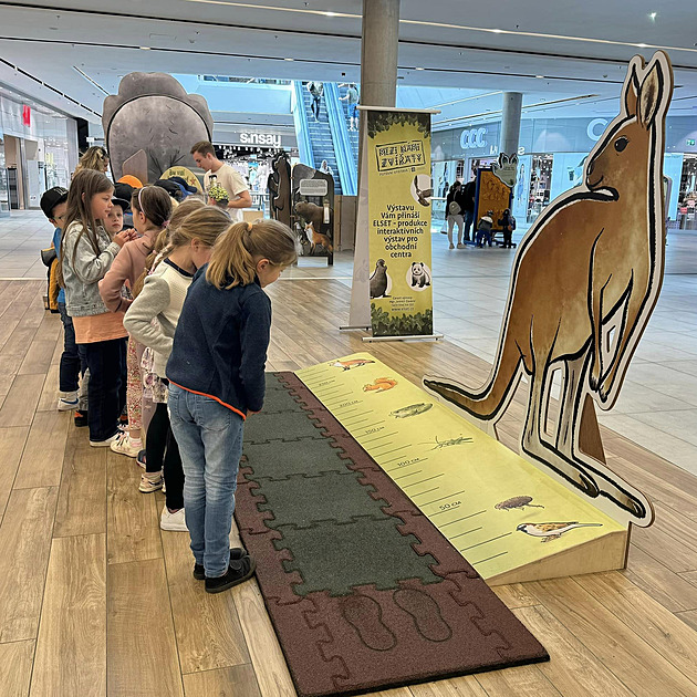 Návštěvníci jihlavské zoo mohou poměřit své schopnosti se zvířaty