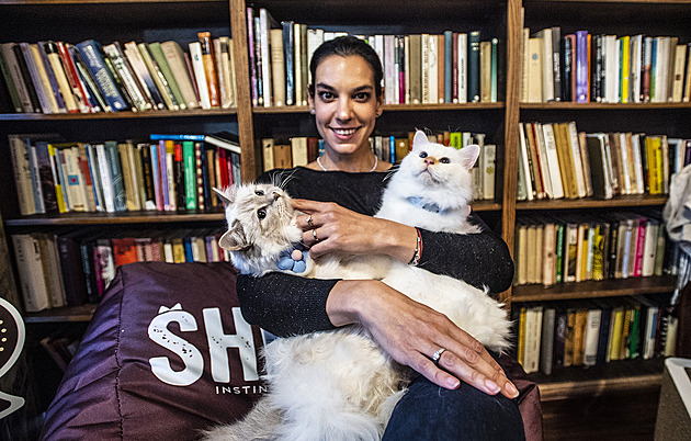 Kočky místo prášků. V Česku roste zájem o felinoterapii