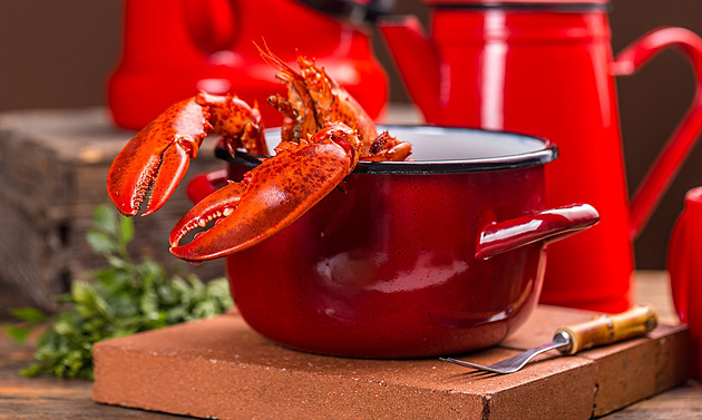 Velká humrová loupež. V USA řeší krádež korýšů za osm milionů korun