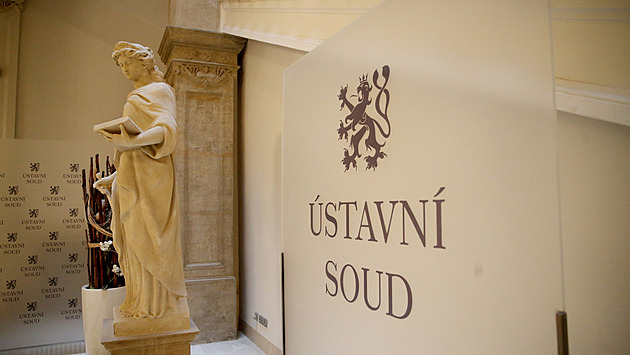 ÚS se zastal matky kojence, kterou zavřeli na psychiatrii. Její hlas nebyl vyslyšen