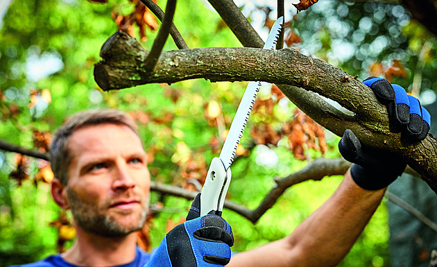 Březnový restart zahrady. První kroky, které rozhodnou o úspěšné sezoně