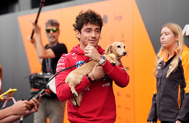 Chytí je všechny? Leclerc pobavil fanoušky trénováním roztomilého pokémona