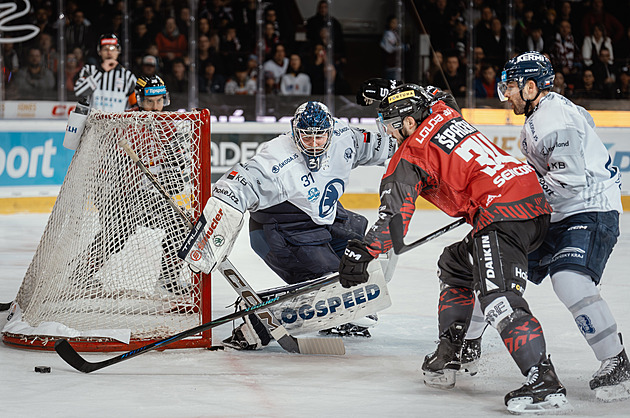 Sporná chvíle na Spartě. Malík ukradl gól, Nedvěd se divil: Podle nás byl puk za čárou