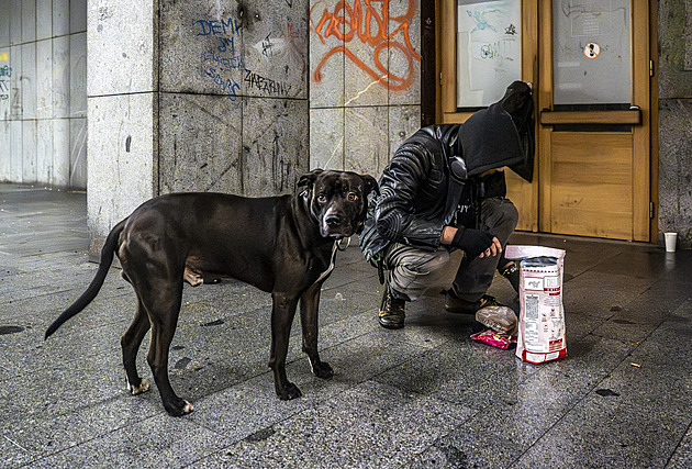 Ošetřenka je klíč pro nemocné z ulice. A může je začít vracet zpět do života