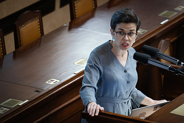 Ztrátou bydlení je ohroženo 1,6 milionu lidí, tvrdí Piráti. Pomohou úřady práce?