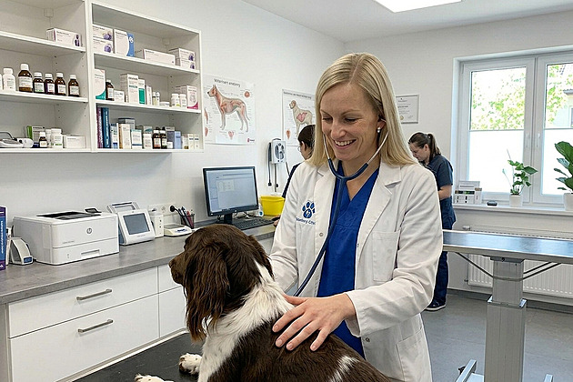 Štěňata alespoň jednou za život? Kastrace může feně zachránit život, říká veterinářka