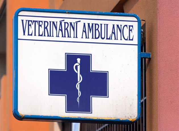 V Plzni ožila šance na noční veterinární pohotovost, fungovat by mohla od jara